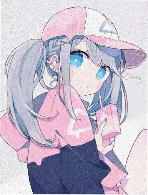 追风筝的人